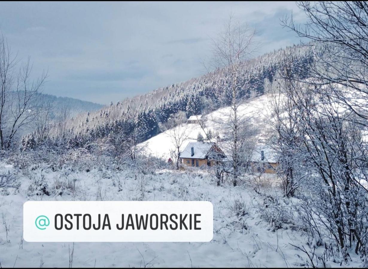 Ostoja Jaworskie Stryszawa 外观 照片